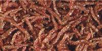 Hikari Freeze Dried Blood Worms 1.59oz