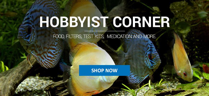 Food, Filters, Test Kits, And More